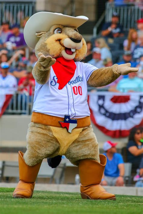 Sod poodles - In 2019, the Amarillo Sod Poodles started their existence with a bang. Affiliated with the San Diego Padres, they rode a crew of now-MLB contributors to a minor league base ball Texas League ...